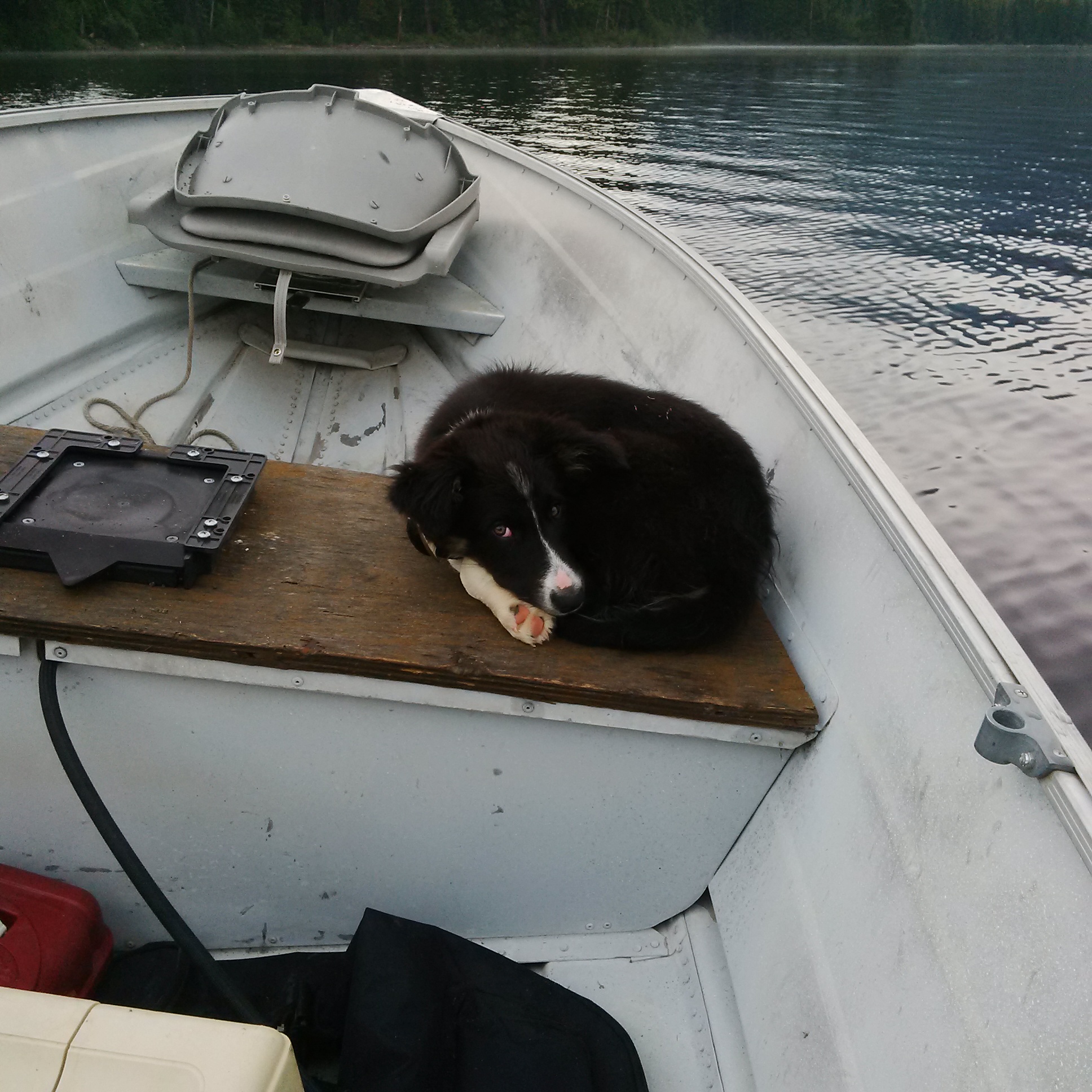 My new fishing buddy, Guy, at Bosk Lake, June, 2018