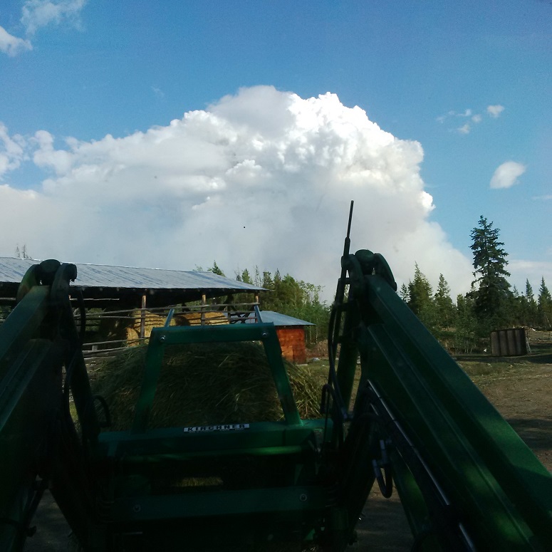 View of the smoke plume from the Elephant Hill Wildfire September 2017