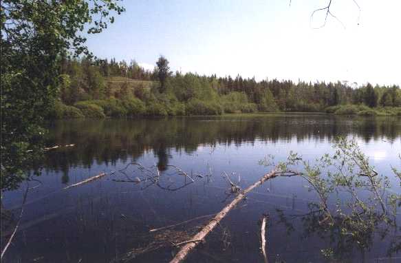 One of several ponds at Dry Creek Ranch